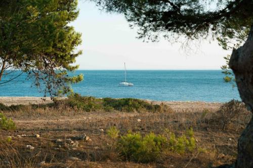 Boat, Martigues