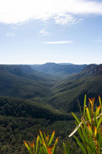 Leura, Blues Mountains