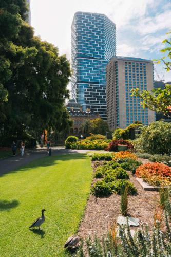 Royal Botanic Garden, Sydney