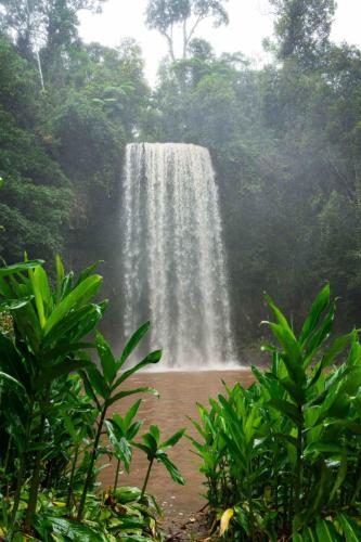 Waterfall, Rainforest