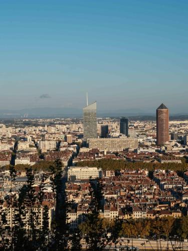 Lyon-depuis-Fourviere